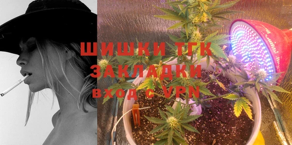 тгк Алзамай