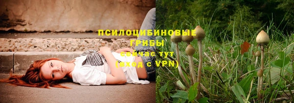 тгк Алзамай