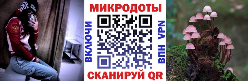 хочу   Чехов  сайты даркнета официальный сайт  Псилоцибиновые грибы мухоморы  hydra вход 